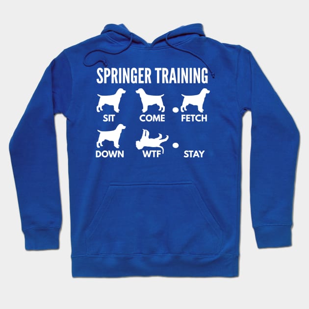 Springer Spaniel Training Springer Dog Tricks Springer Spaniel